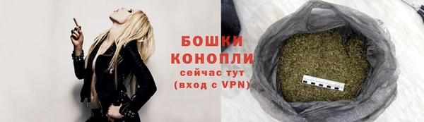 СК Коряжма