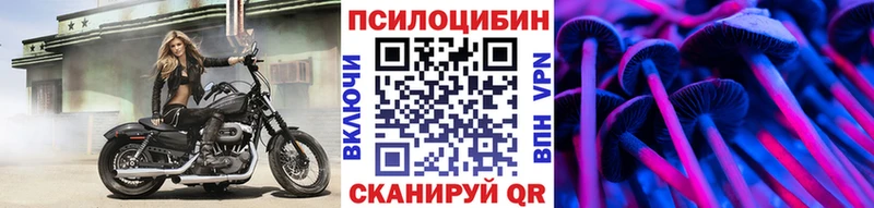 Купить  Подольск  Галлюциногенные грибы мицелий 